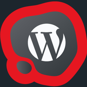 Faqe Webi WordPress Shqip cfare duhet te dim.